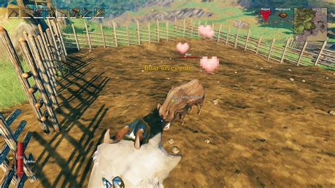 How to kill tamed boar valheim Taming Boars is easy when you know how